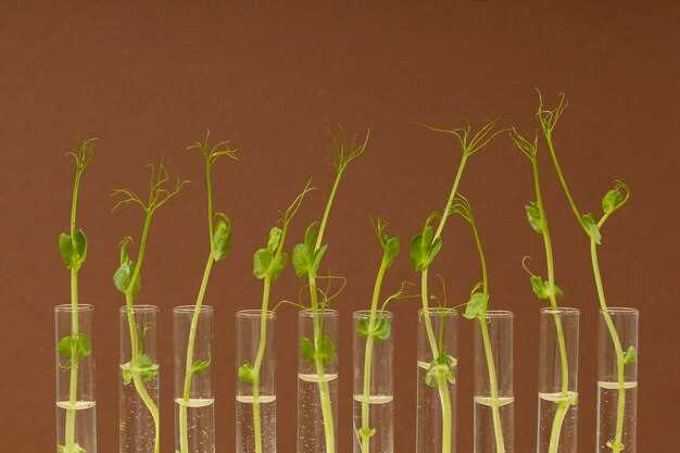 Factors Affecting Absorption