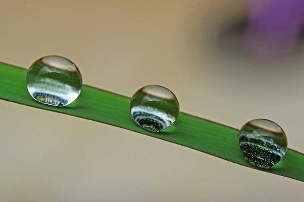 Benefits of Metoprolol