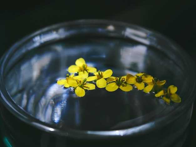 Escitalopram cipralex bivirkninger