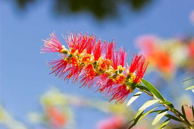 Benefits of Consulting a Healthcare Provider