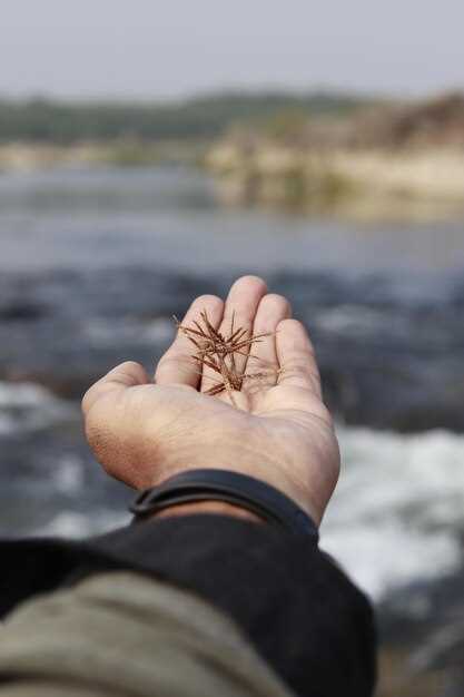 The Support of Escitalopram