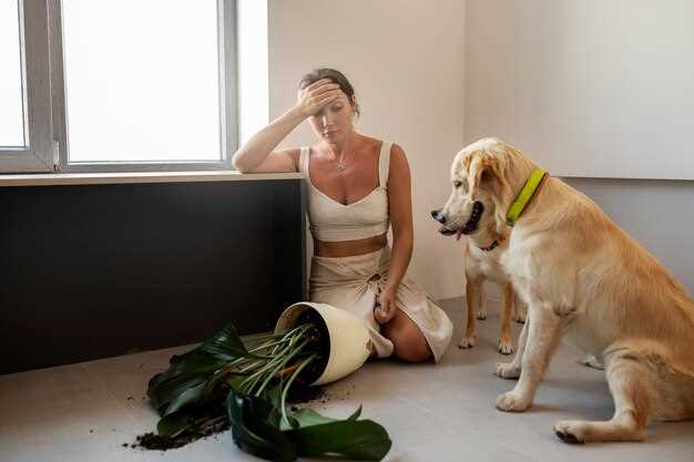 Benefits of Famotidine and Prednisone for Dogs