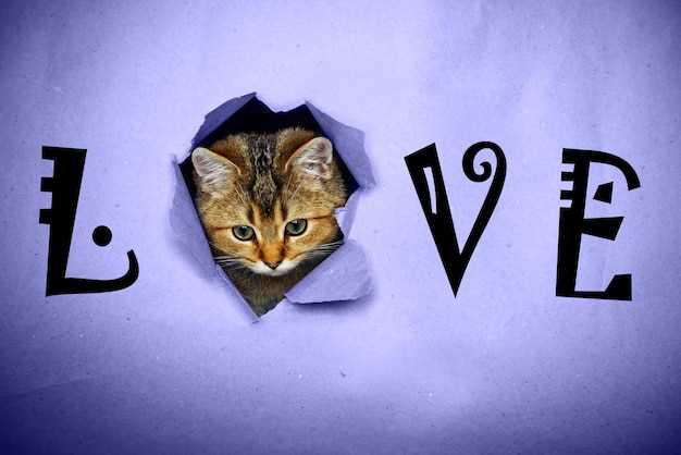 Benefits of Famotidine