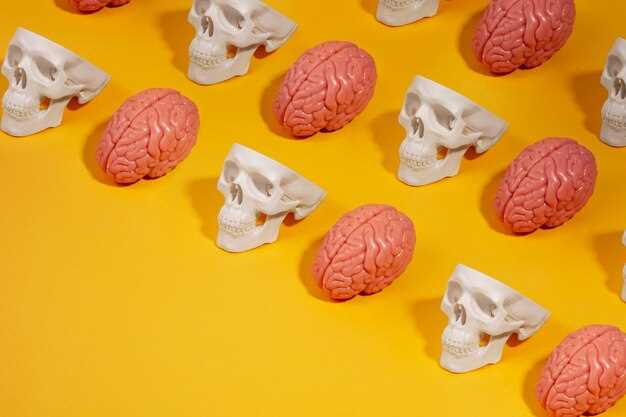 Understanding the Mechanism