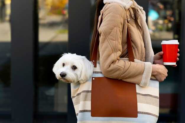 Potential Benefits for Dogs