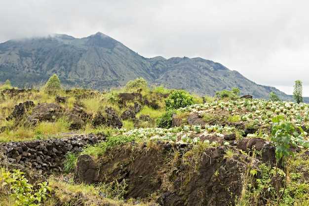 Common side effects: