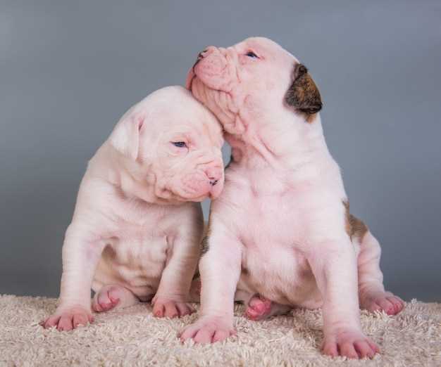 Consultation with Healthcare Provider