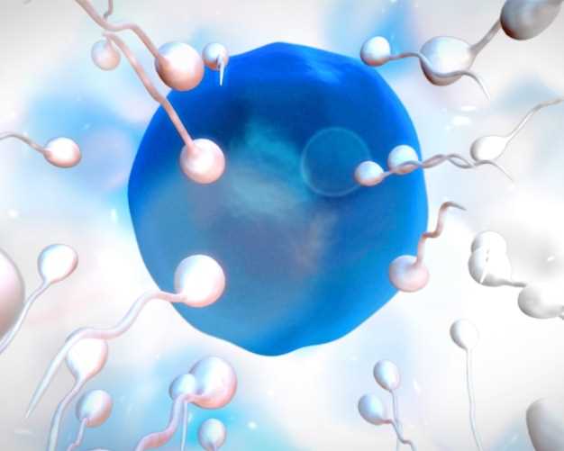 Dangers of Combined Use