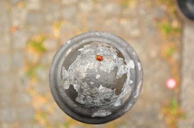 Price and Availability