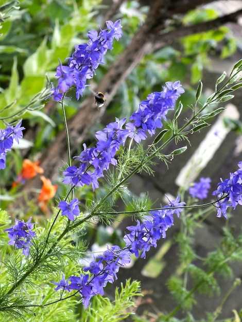 How to Use Roxane Losartan HCTZ