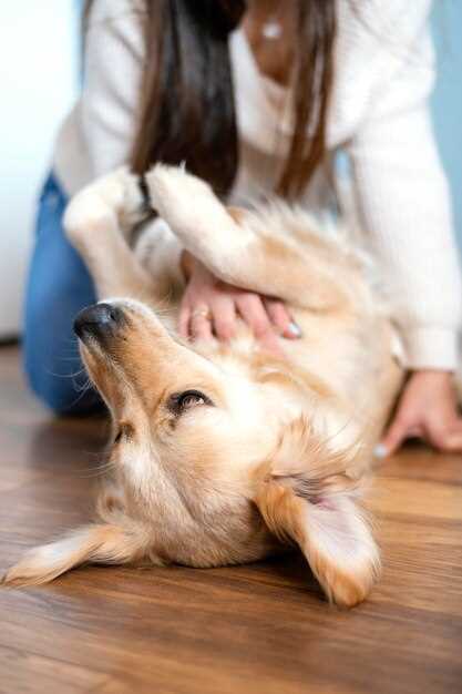 Side effects famotidine in dogs